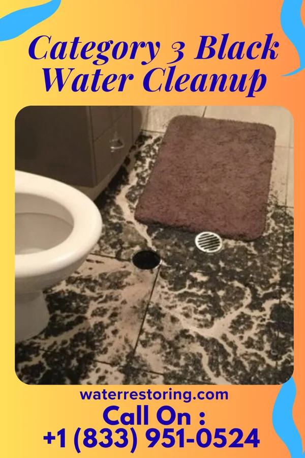 Category 3 Black Water Cleanup in Monroe, GA